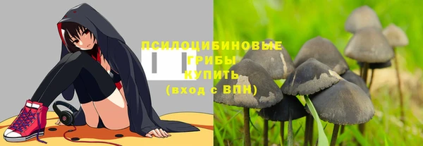 spice Заводоуковск