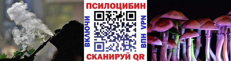 Псилоцибиновые грибы MAGIC MUSHROOMS  Купить  Ивантеевка 